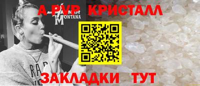 прущие грибы Апшеронск