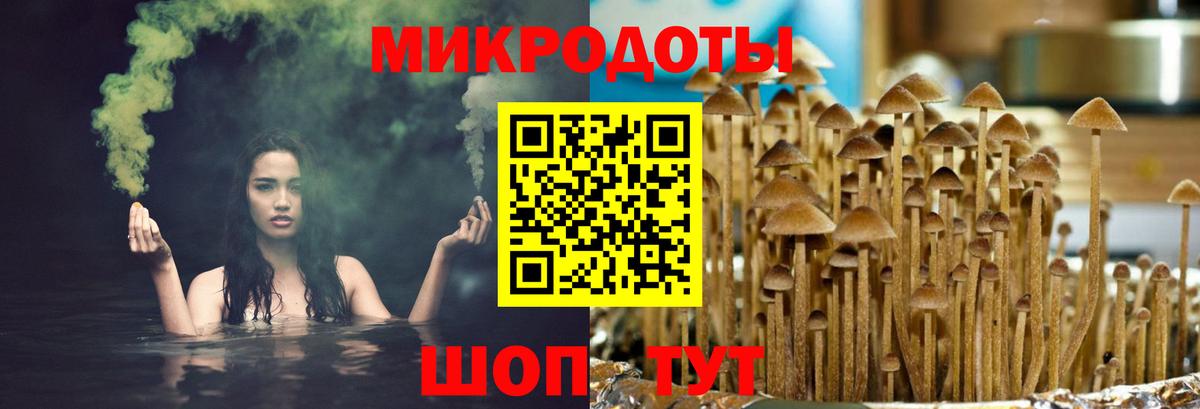 Галлюциногенные грибы Psilocybine cubensis Верхняя Салда