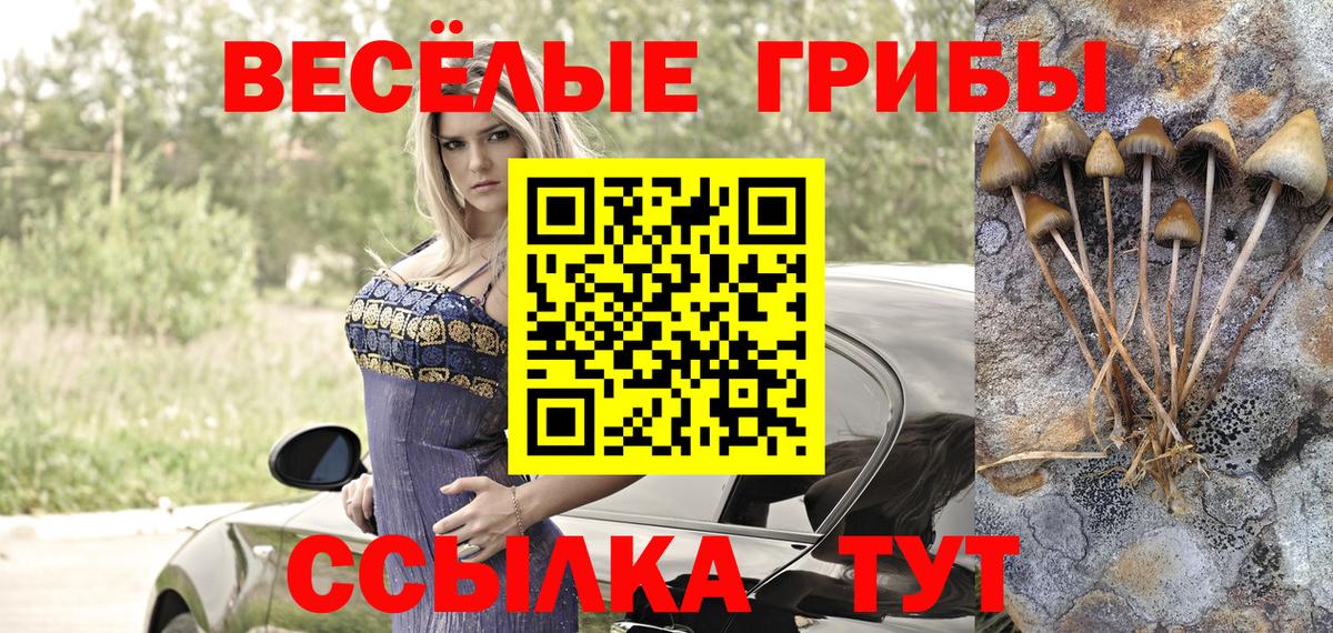 Верхняя Салда  Псилоцибиновые грибы GOLDEN TEACHER  Вход с VPN 